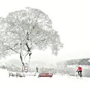 눈 내린날 자전거 탄 풍경 이미지