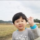 들판농장 이미지