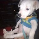 올리브안경갤러리 | 17171771