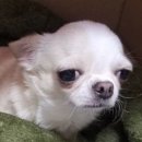 메카닉S | AI 프론티어 스터디 후기