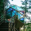 아양사랑숲 이미지