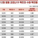 코로나 하루 환자 '1000명', 원인은 검사수 '폭증'.. 확진율 2% 그쳐 이미지