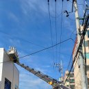 세븐일레븐 김해지내공단점 이미지