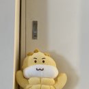 원데이피티 이미지