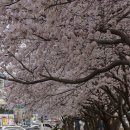 오성목장 이미지