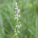 곡성군립노인전문요양병원 이미지