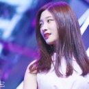 안*림