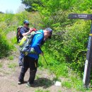 들국화목장 이미지