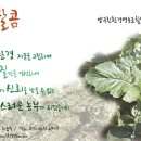 양구친환경영농조합법인 이미지