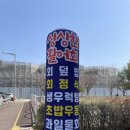 청춘회물회 이미지