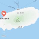 한림 | 제주 한림 작은영화관 후기