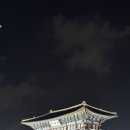 거북산당 | 제12회 장안문거북시장 음식문화축제 첫방문후기