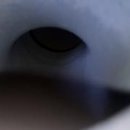 에이스자동차공업사 이미지