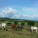 어승생승마장 이미지