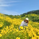 2024.05.29 지세포 라벤더공원.구조라해수욕장 이미지