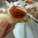 종종파전 | 종로 대련집 칼국수 보쌈 파전 내돈내산 후기