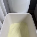 안녕,고양이 | 먼지 없는 칼마 카사바 고양이 모래 솔직후기