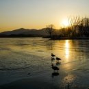 두물머리 이미지