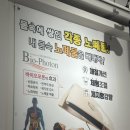 앤바이오 | 종로3가 다이어트 다시봄 스킨앤숲칼프 종로점 바이오포톤슬리밍 후기