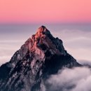 다연한식부페 이미지