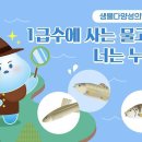 일급수세탁