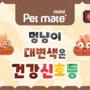 내품애동물병원 이미지