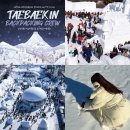 아이스토리 안경 태백점 | 태백 눈꽃축제 2026 열차