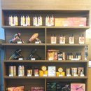 살롱제이드 이미지