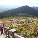 여행어때