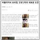 바울아저씨보라점