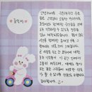반려동물 추모함 럴퍼즈 L 구매 후기