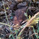 달빛민박 이미지