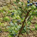 공설농장 이미지