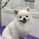 라미살롱 이미지