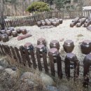 속리산숲체험휴양마을 이미지