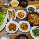 장수쌈밥 티스토리