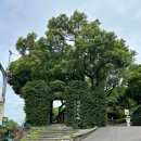 대만 여행 2일차 Tamsui - each day coffee, 단수이 맛집 51伍一, 딘타이펑 본점