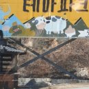 주주애견 이미지