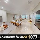 신흥초등학교(유치원포함) 티스토리