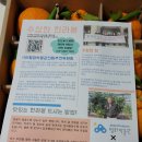 수상한 집 이미지