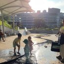 옥마벚길 이미지