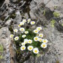 별빛산장 이미지