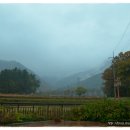 다향산방 이미지