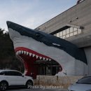 땅끝해양자연사박물관 이미지