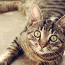 혜성목욕탕 이미지