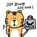 클린24