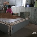 황소 농장 이미지