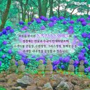 동쪽마을 이미지