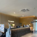 꾸러기 펫 | 제주 가성비 [헤이,서귀포] 애견동반 호텔