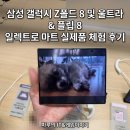 울트라마트 | 삼성 갤럭시 Z폴드 8 및 울트라 &amp; 플립 8 일렉트로 마트 실제품 체험 후기